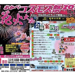 おかべコスモス祭りの花火に協賛しました